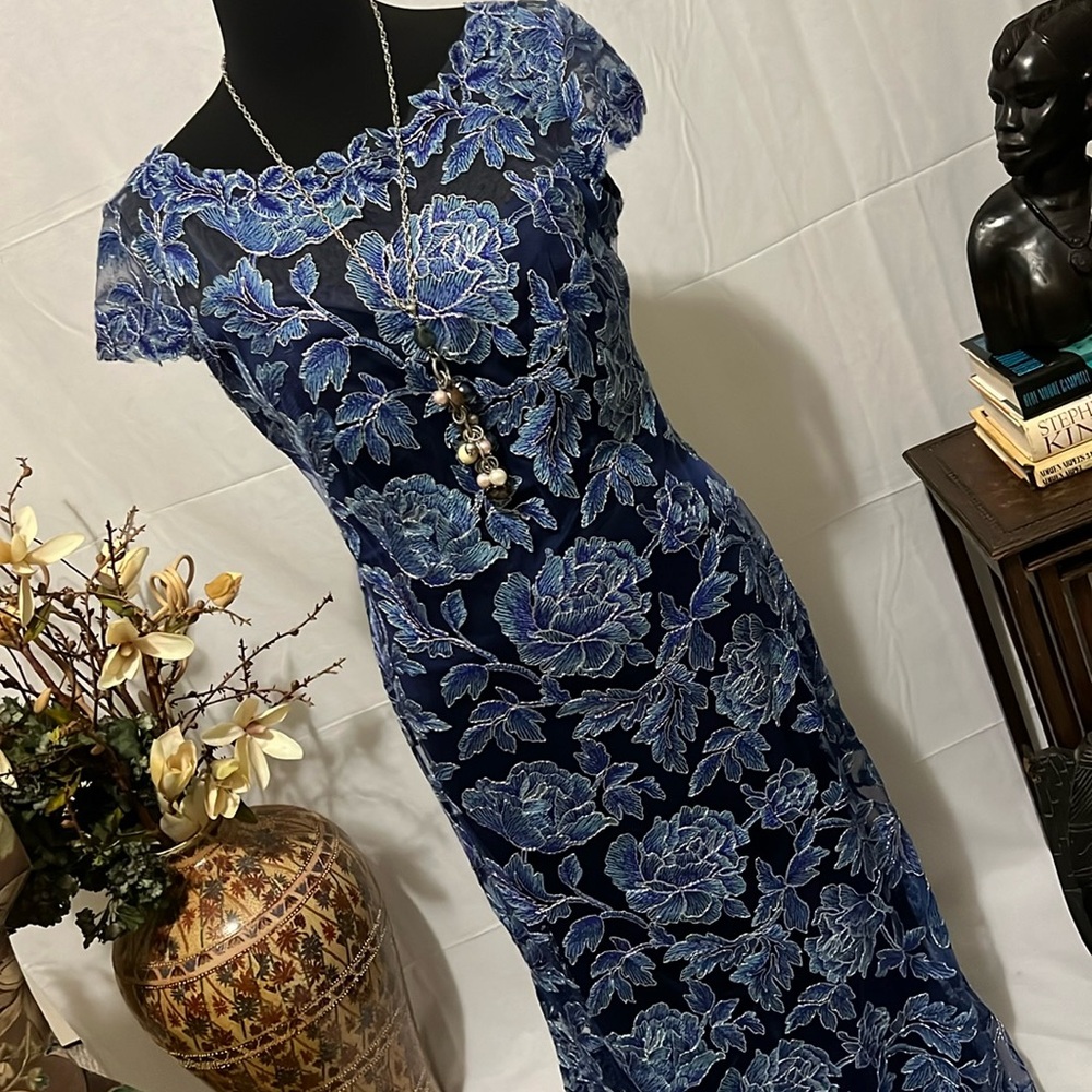 Step out in something new wearing a blue lace and navy lined dress by Tadashi🦋